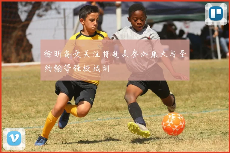 徐昕备受关注将赴美参加康大与圣约翰等强校试训