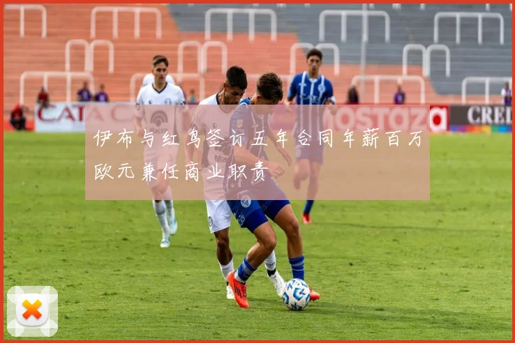 伊布与红鸟签订五年合同年薪百万欧元兼任商业职责