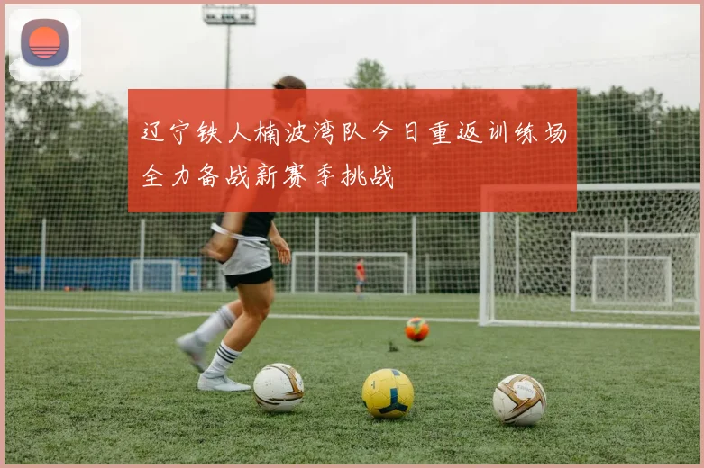 辽宁铁人楠波湾队今日重返训练场全力备战新赛季挑战