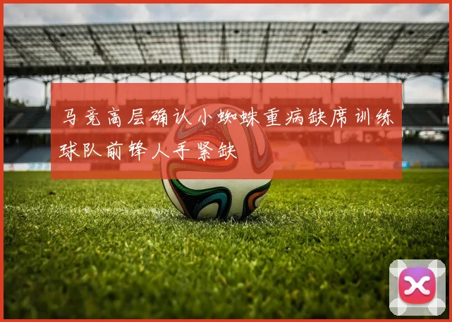 马竞高层确认小蜘蛛重病缺席训练球队前锋人手紧缺